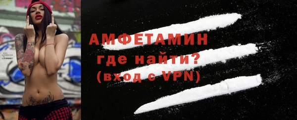 сатива Новозыбков