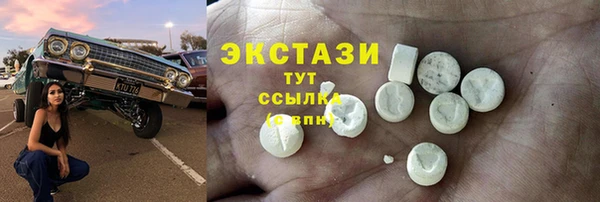 сатива Новозыбков