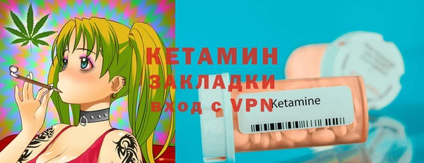 сатива Новозыбков