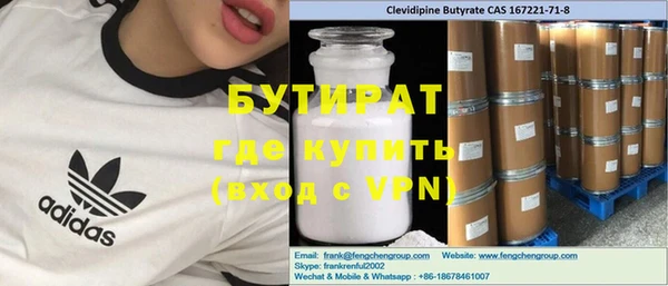 сатива Новозыбков