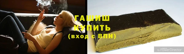 сатива Новозыбков