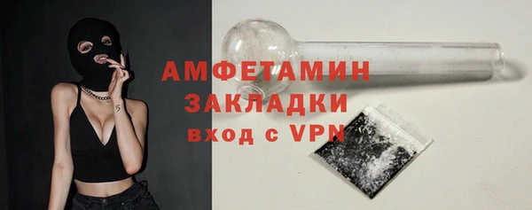 сатива Новозыбков