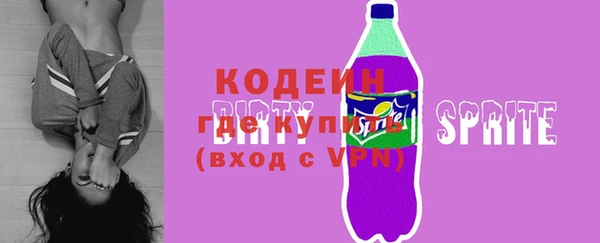 сатива Новозыбков