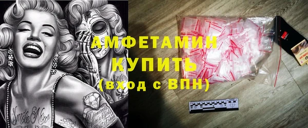 сатива Новозыбков