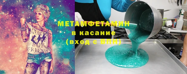 сатива Новозыбков