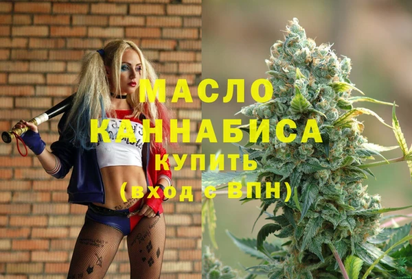 сатива Новозыбков