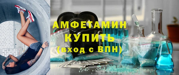 сатива Новозыбков