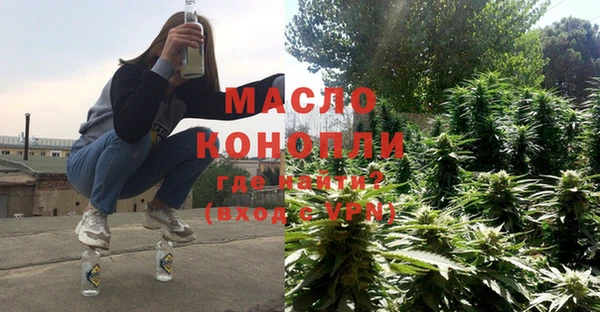 сатива Новозыбков