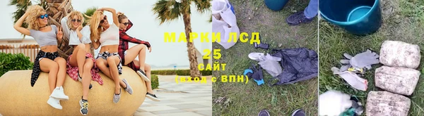 сатива Новозыбков