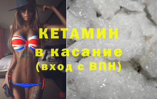 сатива Новозыбков