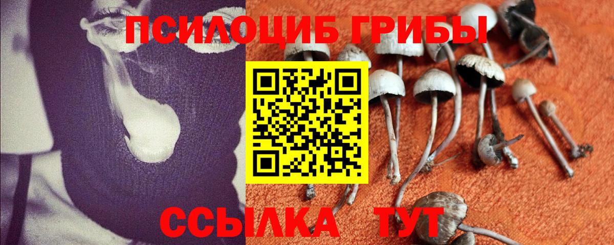 Новочебоксарск  Галлюциногенные грибы Magic Shrooms  Вход с VPN  Галлюциногенные грибы Psilocybine cubensis 